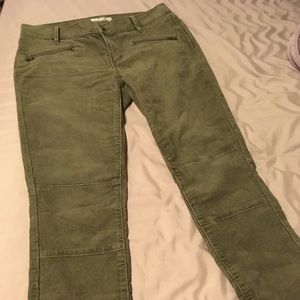 Like new LOFT moto skinny cords